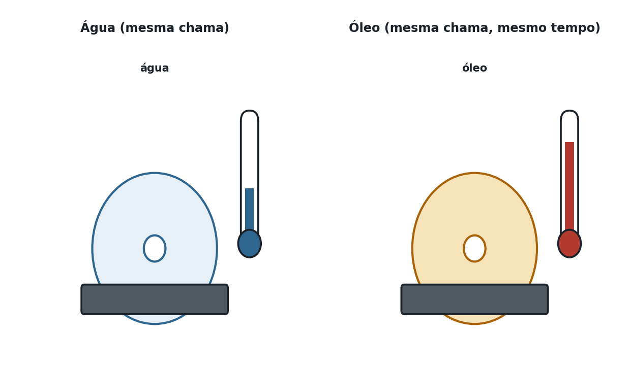 Duas panelas iguais lado a lado sobre bocas de fogão idênticas com a mesma chama: uma contém água e a outra óleo de cozinha, ambas com termômetros. O termômetro do óleo mostra uma temperatura mais alta que o da água após o mesmo tempo de aquecimento, ilustrando que o óleo, de menor calor específico, aquece mais rapidamente.