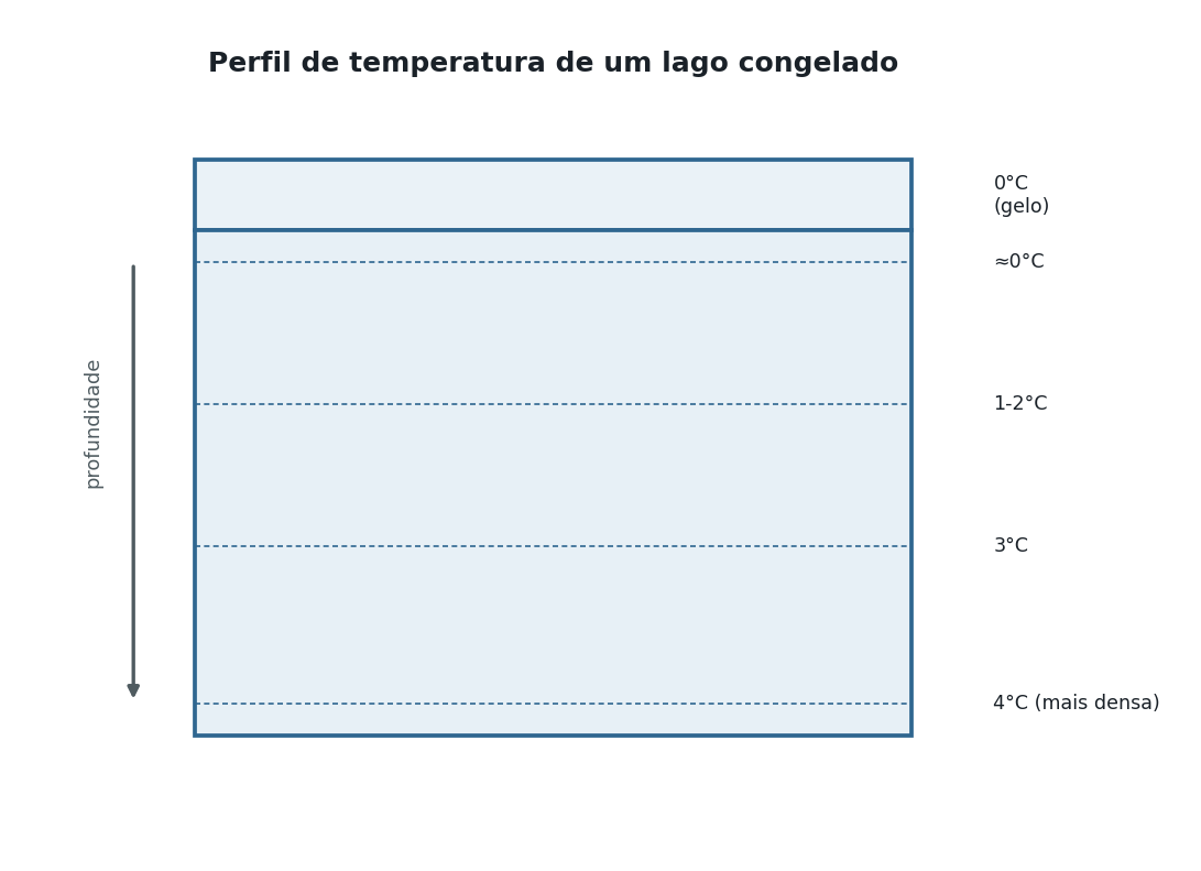 Corte transversal de um lago congelado: uma camada de gelo na superfície rotulada '0°C (gelo)', logo abaixo água rotulada 'próximo de 0°C', e, em setas descendo até o fundo do lago, a temperatura aumentando gradualmente até uma camada no fundo rotulada '4°C (água mais densa)'.