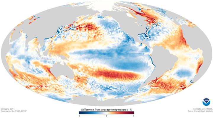 Mapa de anomalias de temperatura da superfície do mar em janeiro de 2011: tons azuis indicam águas mais frias que o normal