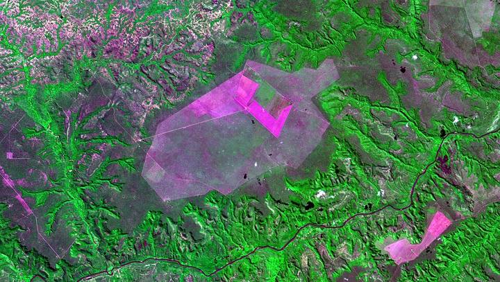 Imagem de satélite de área de Cerrado desmatada para lavouras no Matopiba