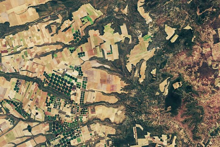 Imagem de satélite de uma área agrícola no Cerrado brasileiro, com talhões geométricos
