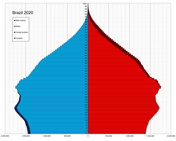 Pirâmide etária do Brasil em 2020